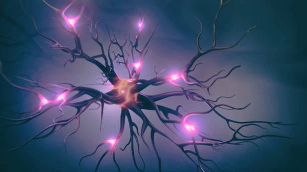 istockphoto-1271645990-612x612 istockphoto-1271645990-612x612